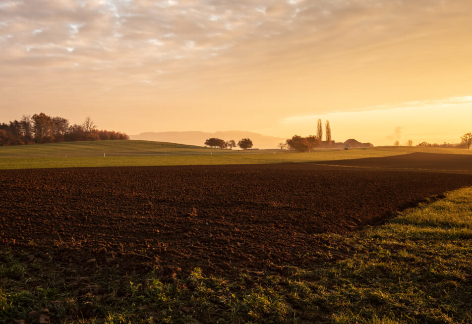 Aussicht von Macardo in die Natur