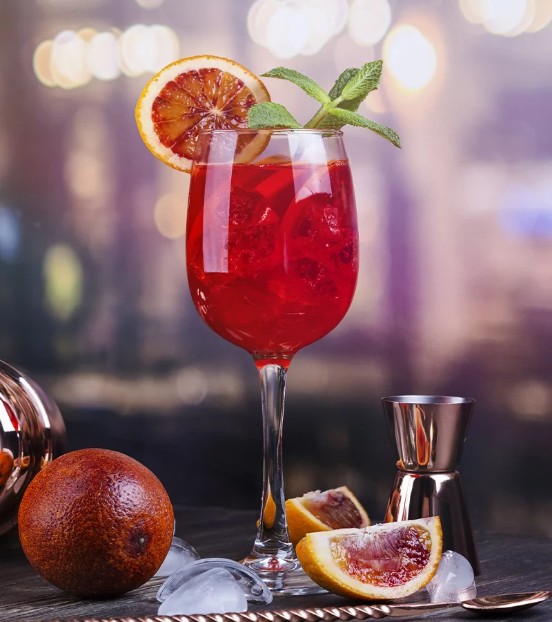 Sloe Gin Spritz Macardo Swiss Distillery