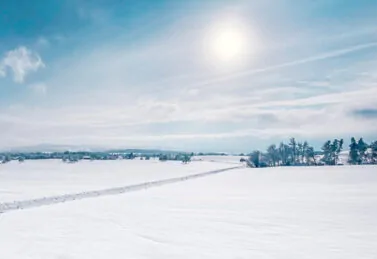 Aussicht im Winter von der Macardo Swiss Distillery