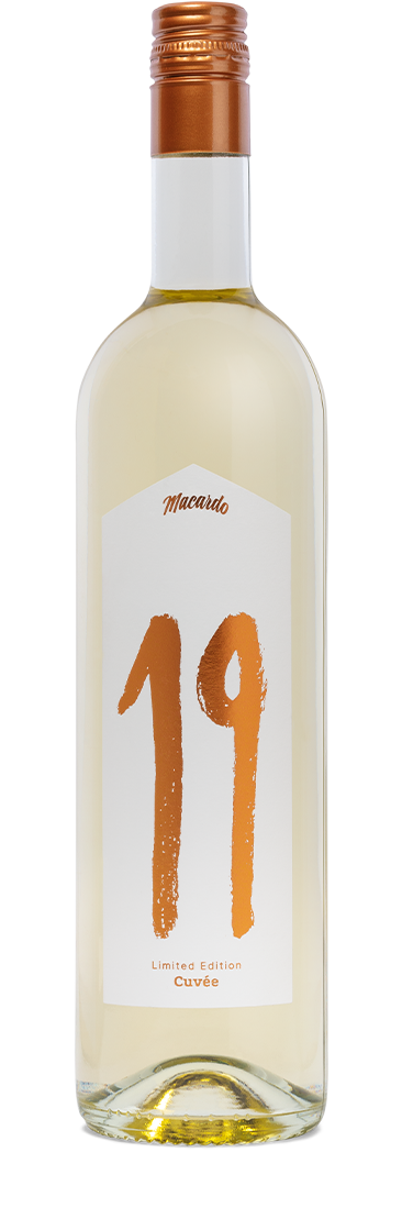 Macardo white wine &quot;19